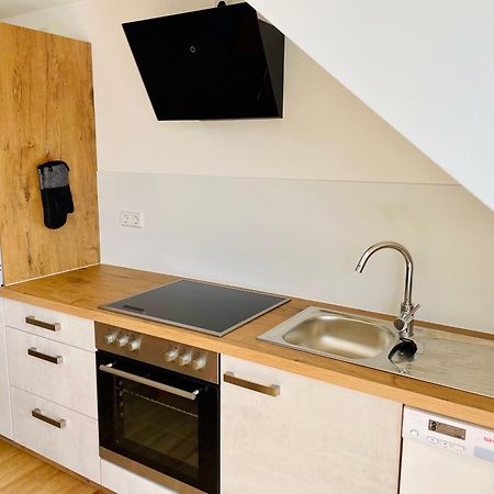 Stadtoase Geraeumige Gaestewohnungen Mit Balkon, Komfort, Modernitaet Und Ruhe, Fuer Monteure Geeignet, Free Wifi Frankenberg Екстер'єр фото