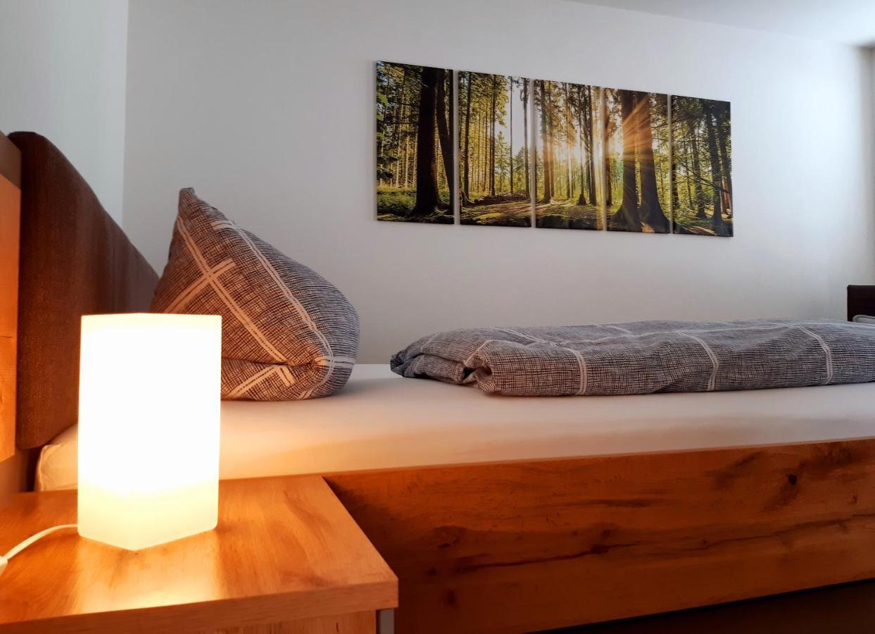Stadtoase Geraeumige Gaestewohnungen Mit Balkon, Komfort, Modernitaet Und Ruhe, Fuer Monteure Geeignet, Free Wifi Frankenberg Екстер'єр фото